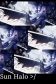 Sun Halo