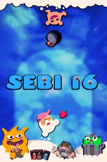 SEBI 16
