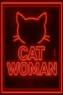 CatWoman - Adult Only