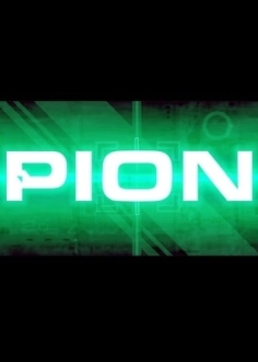 PION