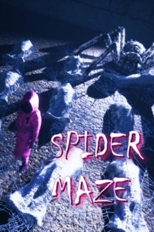 Spider Maze