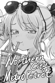 Northern City Metro Patrol