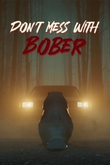 Don't Mess With Bober