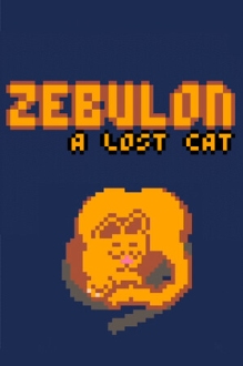 Zebulon: A Lost Cat
