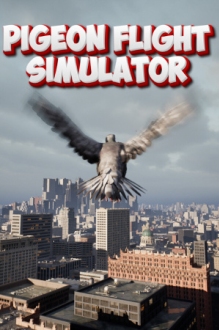 Pigeon Flight Simulator