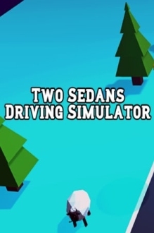 Two Sedans Driving Simulator