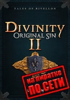 Divinity Original Sin 2 по сети