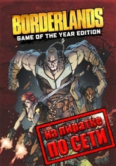 Borderlands по сети
