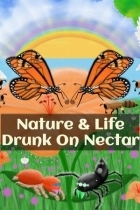 Nature And Life - Drunk On Nectar