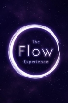 The Flow Experience