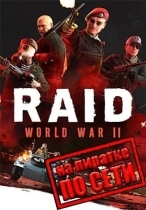 RAID: World War 2 - Special Edition по сети
