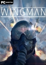 Project Wingman