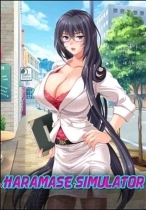 Haramase Simulator
