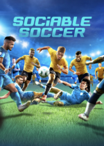 Sociable Soccer