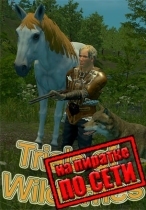 Trials of Wilderness по сети