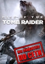 Rise of the Tomb Raider по сети