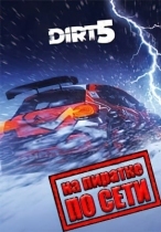 DIRT 5 по сети