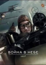 Война в небе — 1917