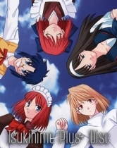 Tsukihime Plus+Disc