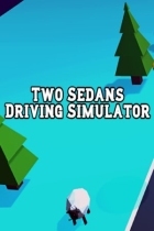 Two Sedans Driving Simulator