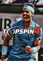 Top Spin 4