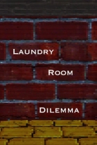 Laundry Room Dilemma