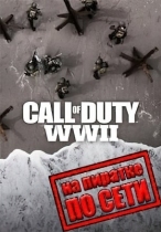 Call of Duty WW2 по сети