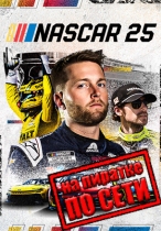 NASCAR 25 по сети