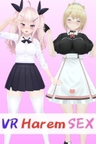 VR Harem Sex ~Fucking the All Girls Around Me~