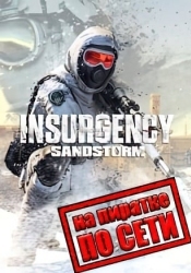 Insurgency: Sandstorm по сети