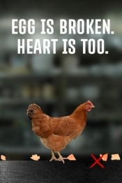 egg is broken. heart is too.