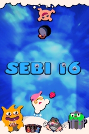 SEBI 16
