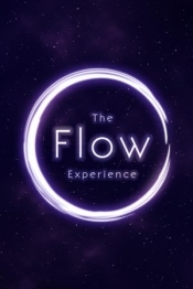 The Flow Experience