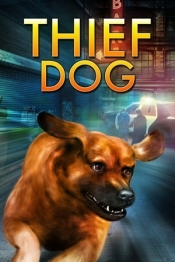 THIEF DOG
