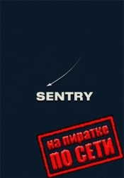 SENTRY по сети