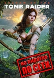 Shadow of the Tomb Raider по сети