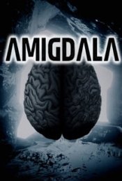 Amigdala