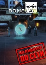 BONELAB по сети