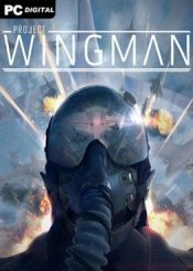 Project Wingman