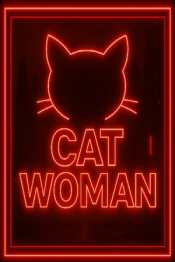 CatWoman - Adult Only
