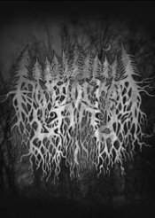 Forgotten Land