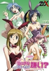 Do You Like Horny Bunnies