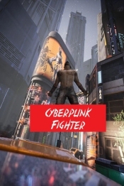 Cyberpunk Fighter
