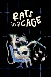 Rats in a Cage