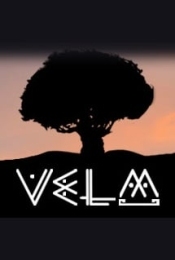 VeLM