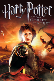 Гарри Поттер и Кубок Огня (игра)