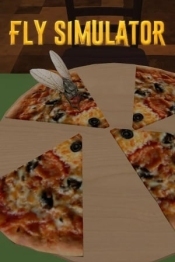 Fly Simulator