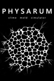 PHYSARUM: Slime Mold Simulator