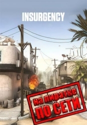 Insurgency по сети