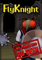 FlyKnight по сети
